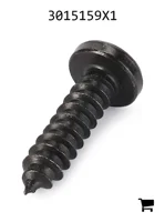 AGCO 3015159X1 Винт