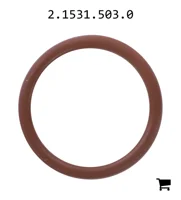 AGCO 2.1531.503.0 Уплотнительное кольцо