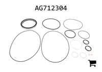 AGCO AG712304 Ремонтный комплект сальника гидромотора колеса