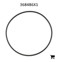 AGCO 368486X1 Прокладка