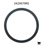 AGCO 3429679M1 Шайба