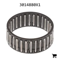 AGCO 3014880X1 Игольчатый подшипник