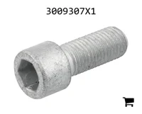 AGCO 3009307X1 Винт с цилиндрической головкой и шестигранным углублением