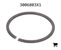 AGCO 3006803X1 Стопорное кольцо
