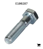 AGCO E100287 Болт