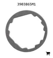 AGCO 3903865M1 Кольцо