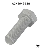 AGCO ACW4949630 Болт с шестигранной головкой
