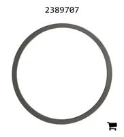 AGCO 2389707 Шайба