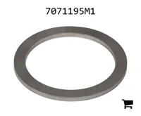 AGCO 7071195M1 Шайба