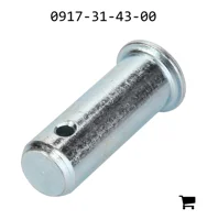 AGCO 0917-31-43-00 Болт