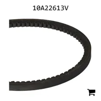 AGCO 10A22613V Ремень