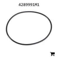 AGCO 4289991M1 Уплотнительное кольцо дополнительной гидравлики стакана