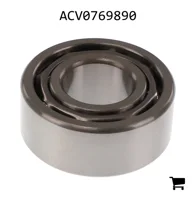 AGCO ACV0769890 Подшипник