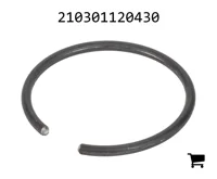 AGCO 210301120430 Стопорная шайба