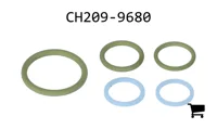 AGCO CH209-9680 Комплект сальников