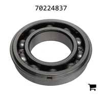 AGCO 70224837 Цилиндрический шариковый подшипник