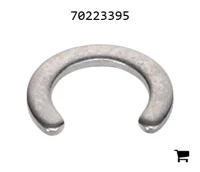 AGCO 70223395 Кольцо