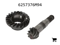 AGCO 6257376M94 Шестерня
