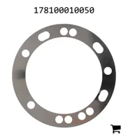 AGCO 178100010050 Шайба с пазом