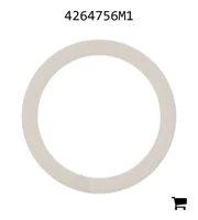 AGCO 4264756M1 Опорное кольцо