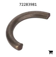 AGCO 72283981 Кольцо