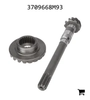 AGCO 3709668M93 Комплект конической шестерни