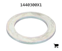 AGCO 1440300X1 Плоская шайба