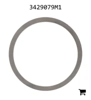 AGCO 3429079M1 Шайба