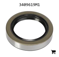 AGCO 3409619M1 Уплотнение