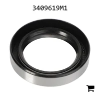 AGCO 3409619M1 Уплотнение