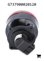 AGCO G737900020120 Задние фонари, левый и правый