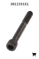 AGCO 3011591X1 Винт с цилиндрической головкой и шестигранным углублением