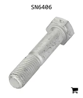 AGCO SN6406 Болт с шестигранной головкой