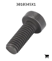AGCO 3010345X1 Винт с потайной головкой