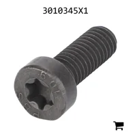 AGCO 3010345X1 Винт с потайной головкой