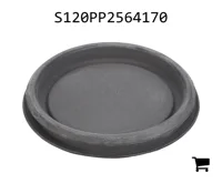 AGCO S120PP2564170 Заглушка