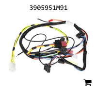 AGCO 3905951M91 Жгут