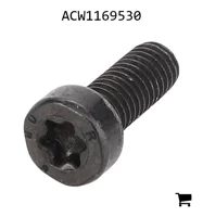 AGCO ACW1169530 Установочный винт с шестигранной головкой