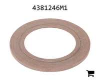 AGCO 4381246M1 Шайба