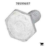 AGCO 70599697 Винт с шестигранной головкой