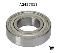 AGCO AG427313 Подшипник