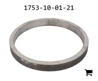 AGCO 1753-10-01-21 Кольцо