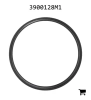 AGCO 3900128M1 Уплотнение гидроцилиндра подъема