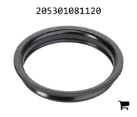 AGCO 205301081120 Наконечник