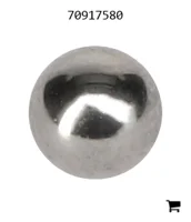 AGCO 70917580 Шар