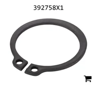 AGCO 392758X1 Стопорное кольцо