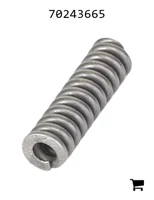 AGCO 70243665 Пружина