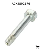 AGCO ACX2892170 Палец
