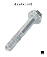 AGCO 4224739M1 Винт с шестигранной головкой