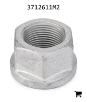 AGCO 3712611M2 Специальная гайка